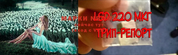 гидропоника Абдулино