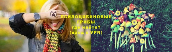 гидропоника Абдулино